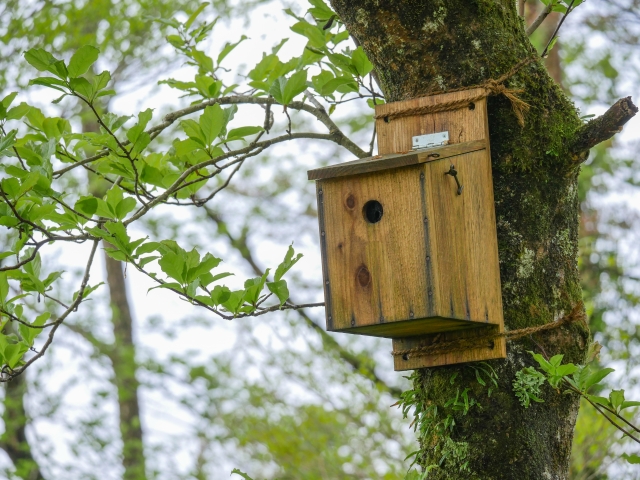 Tiltletitletitletitletitletitletitle