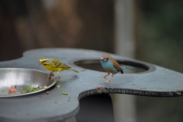 Tiltletitletitletitletitletitletitle